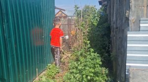 Раян достаёт мячик