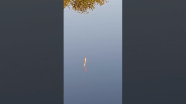 рыбалачка