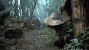 Lord of the Rings - The Fellowship of Nam Parody Music Video