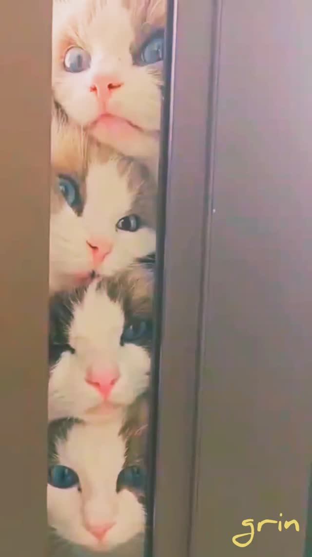 Наблюдаем как уходит ЛЕТО...😿🍁