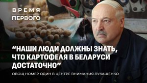 Лукашенко на саммите ШОС | Торговля с Вологдой | Картошка во главе угла. Время Первого
