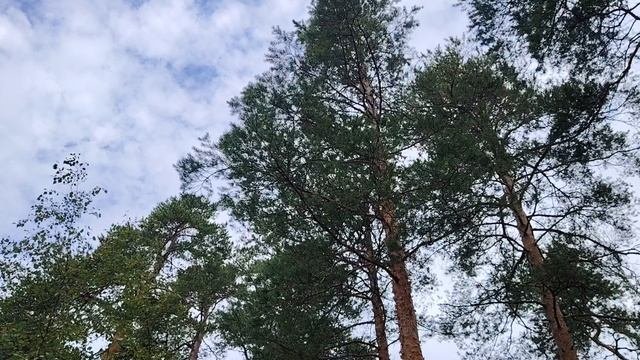 Почему в Москве люди живут дольше?
