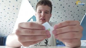 Распаковка - Киндер Сюрприз Car Wash and Spa