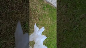 Приключение драконов мини фильм.