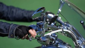 Историк назвал религиозный ритуал польских байкеров в Тверской области демаршем