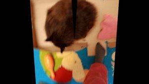 почему меня не любят😭🥺