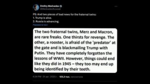 🇷🇺🖕🇫🇷 «Два брата-близнеца, Мерц и Макрон, — редкие уроды», — зампред Совбеза России Медведев.