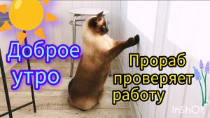 Доброе☀️утро💕31-08-2025 #лето #про жизнь #хорошее настроение #поговорим #жизнь инвалида