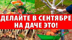 ДЕЛАЙТЕ это в сентябре на даче | ОШИБКИ, которые лишают урожая