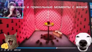 смешные и прикольные моменты с жекой