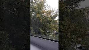 лето уходит