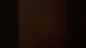 у меня есть котята