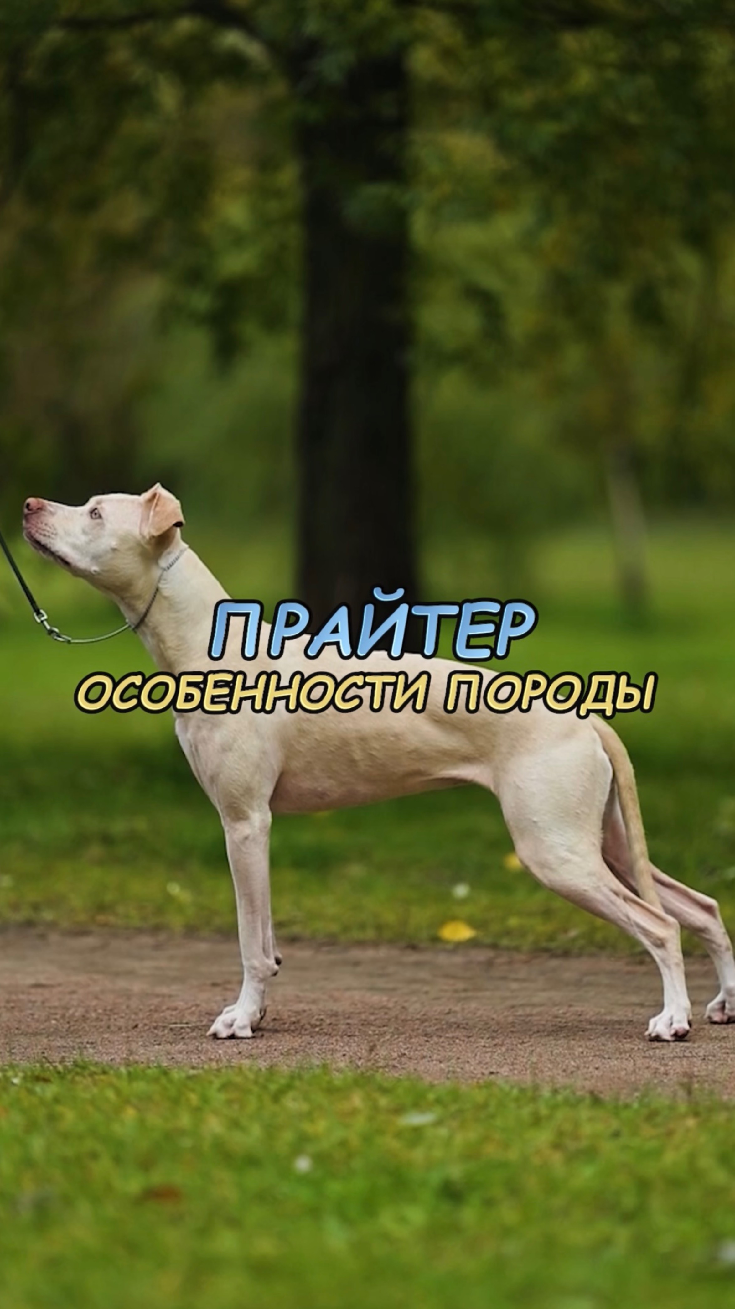 🎁Бесплатные уроки. Жми сюда! смотреть онлайн