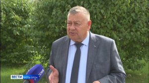 Порядка 200 тысяч тонн зерновых и зернобобовых запланировали аграрии убрать с полей Усть-Ордынского