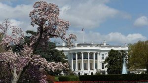 Трамп пожаловался на наличие трещины в Белом доме