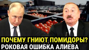 Алиев сжёг мосты. Почему гниют помидоры и КТО теперь хозяин на Кавказе?