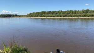 ОСЕННЯЯ РЫБАЛКА НА ХИЩНИКА