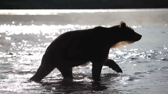 Эта Музыка Излучает Изумительное Умиротворение и Спокойствие_ Можно слушать и слу(720P_HD) смотреть онлайн