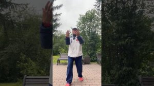 Ицюань (1481 день) Фуань и Хуньюань Чжуан / 3 базовые Шили в / Дань Туйшоу / Чжи Цюань (31.08.25)