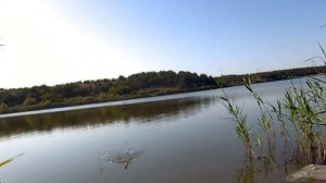 Открытие осенней рыбалки на поплавок,  душевно....р. Сухой несветай ловля на перловку