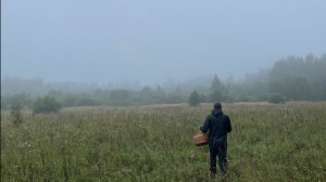 Идем за грибами. Белые. Август 2025. Тверская область.