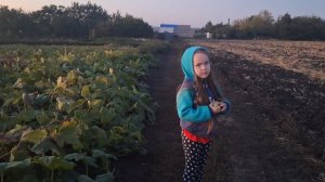29-08-2025 Жизнь в Деревне. Внучка в гостях