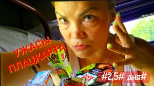 УЖАСЫ ПЛАЦКАРТА/ ЗДЕСЬ ВАМ‼️НЕ ТУТ‼️Поезд НОВОРОССИЙСК-ПЕРМЬ 2/2,5 Дня в пути. ЧАСТЬ 1