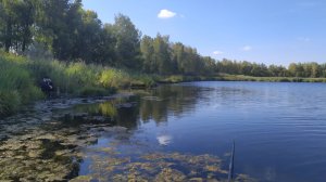 Ловим живца для зубастой щуки.