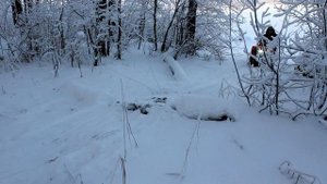 Мотобуксировщик ＂Аляска＂. Для охоты, рыбалки и активного отдыха