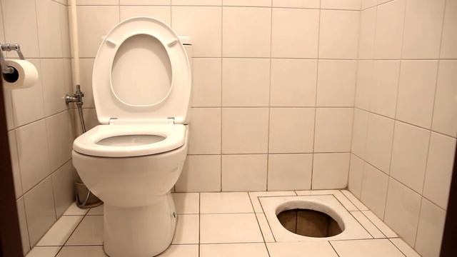 Анекдот - "Какой туалет вы выбираете?".