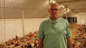 День Ветеринарного работника