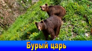 "Наш Сочи" выпуск 76