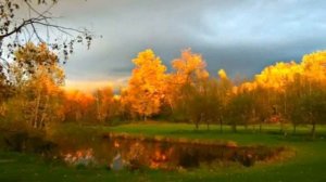 Осеннее  - автор  Мария Погорелова исполняет Светлана Полыгалова