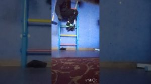 виды сноркачумок и их жизнь