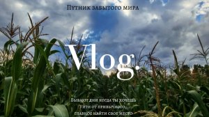Прогулка по полю