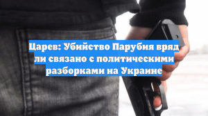 Царев: Убийство Парубия вряд ли связано с политическими разборками на Украине