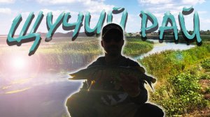 РЕКА КИШИТ ЩУКОЙ, ДЕРЗКИЕ АТАКИ НА ПОВЕРХНОСТНЫЕ ПРИМАНКИ, КРУТАЯ РЫБАЛКА В ДИКИХ МЕСТАХ.