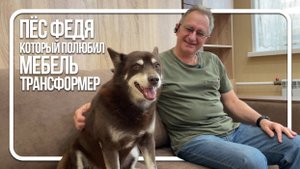 Он НЕ ХОТЕЛ УХОДИТЬ с нового дивана! 😅