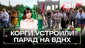Парад корги: более 600 ушастых Карлсонов, Чебурашек и Матроскиных продефилировали на ВДНХ. Ягода