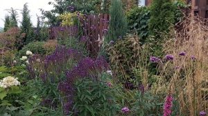 Цветник в августе