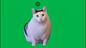 все мемы жевотных