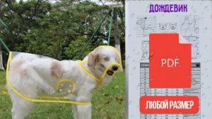 Дождевик для собачек и котиков + выкройки