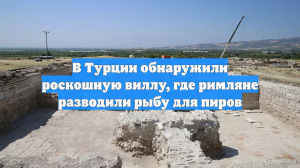 В Турции обнаружили роскошную виллу, где римляне разводили рыбу для пиров