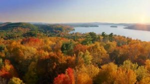 Расслабляющие звуки природы, Щебет птиц, Красивая расслабляющая музыка для сна