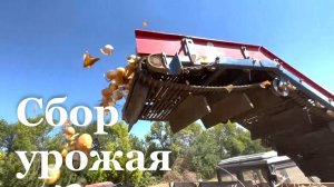В ЛНР стартовала уборка урожая