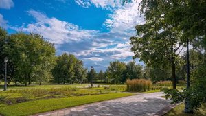 Август. Старый клоун. сл. В. Шентала, муз. и исп. ИИ SUNO
