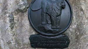 Сафари парк, в гостях у природы.