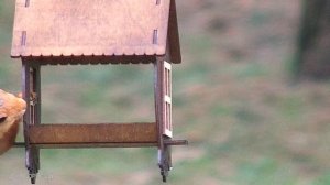 ВЕСЁЛАЯ КОРМУШКА