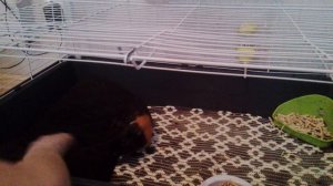 мммммммммммммм:🤨