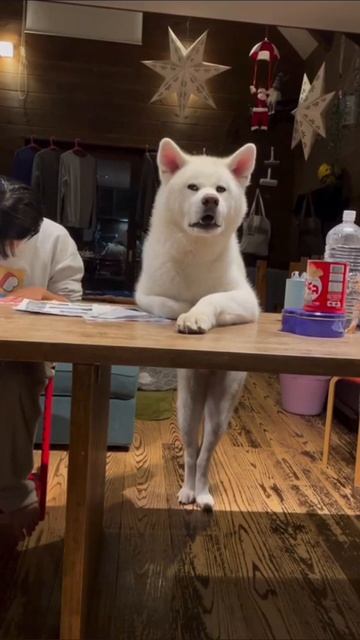 КРАСАВЧИК!!!